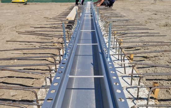 Fenicrom project Fenicrom project